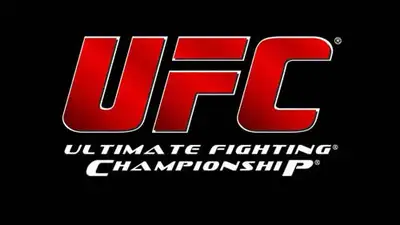 С какрм флагом нельзя в UFC