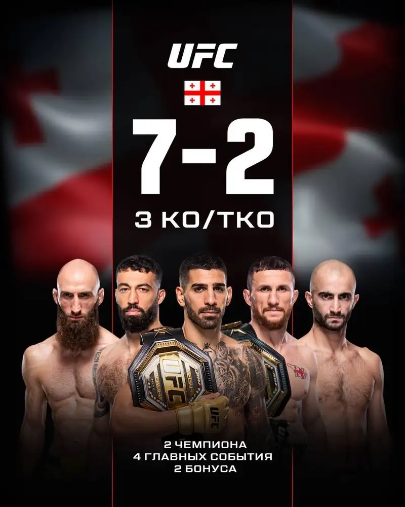 Грузия в UFC-2024