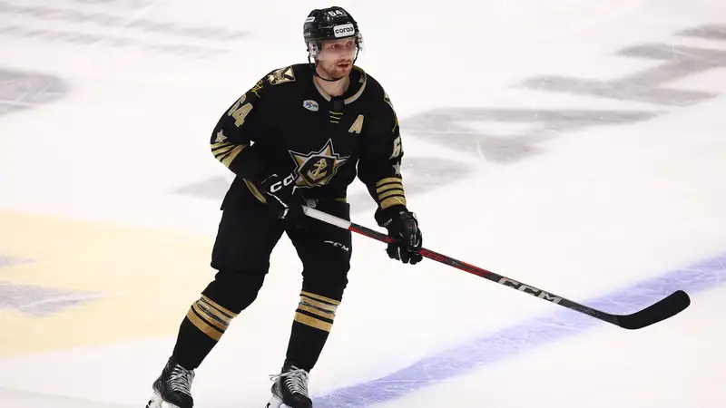 Аркадий Шестаков