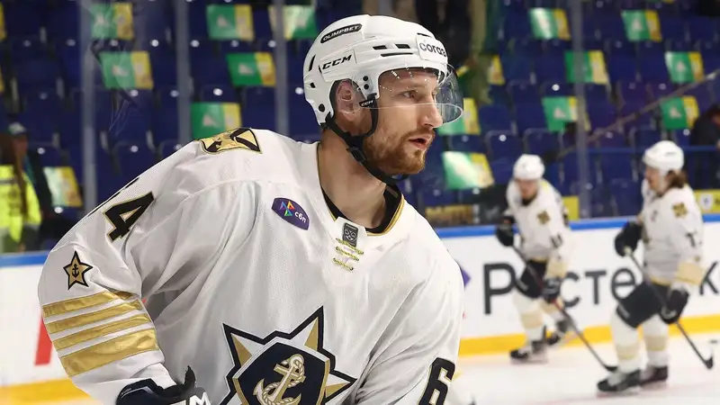 Аркадий Шестаков