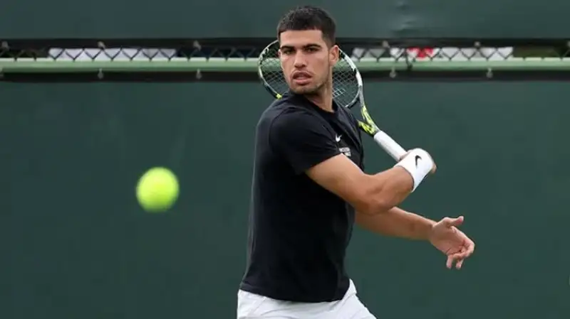 Алькарас победил Димитрова