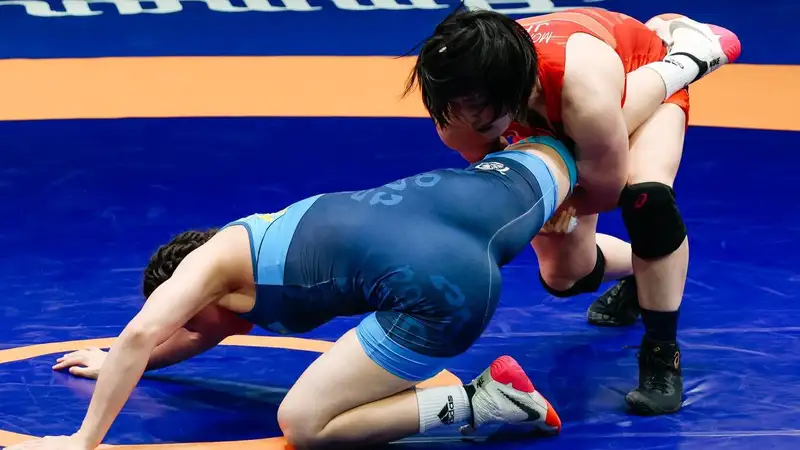 Хорошая новость для болельщиков борьбы!