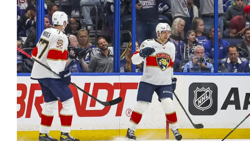 Флорида Пантерз