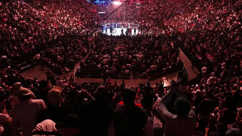 UFC