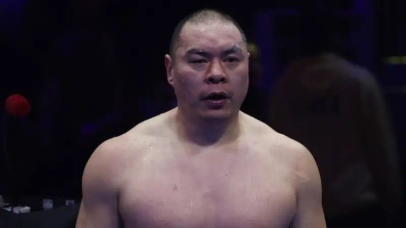 Чжан Чжилэй 