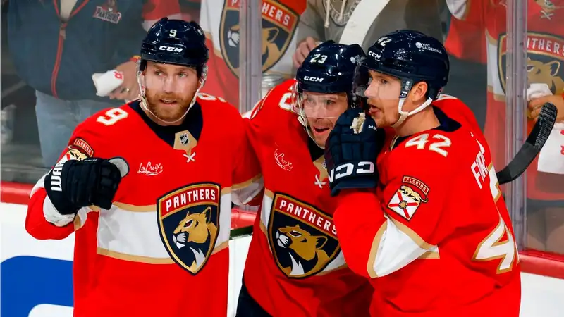 Флорида Пантерз