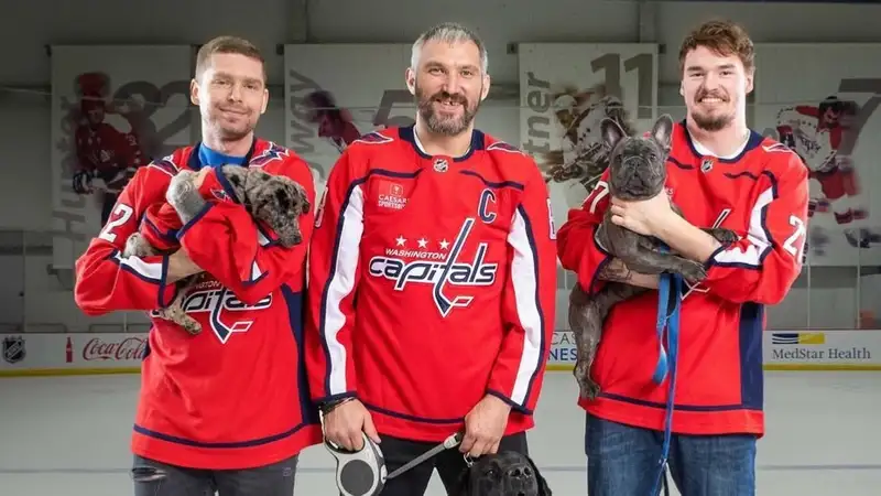 Задержан российский хоккеист "Вашингтон Кэпиталз": подробности