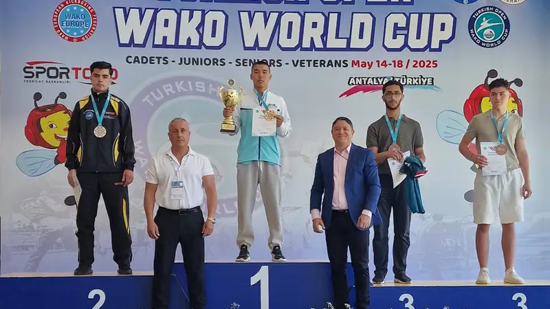 Кикбоксинг кубок мира