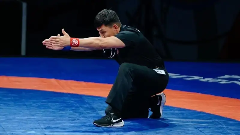 Судьи из РК приглашены на ЧМ