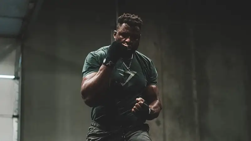 "Наконец узнаем, кто король тяжёлого веса": Нганну обратился к Джонсу