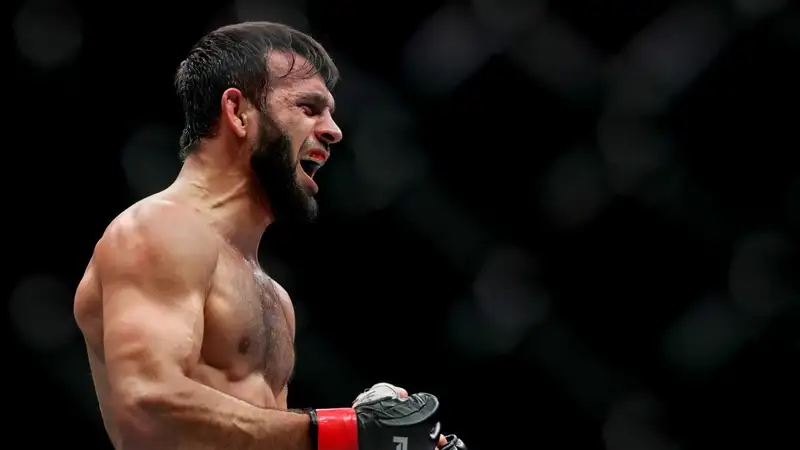 Нокаут Гаджи