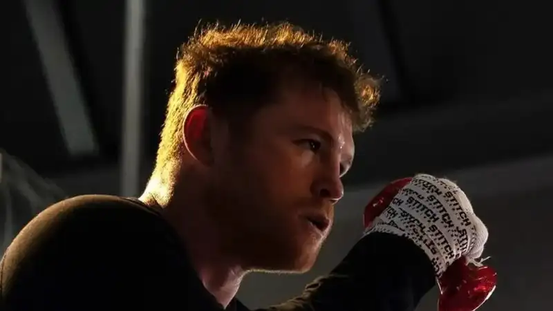 Фото: instagram.com/canelo
