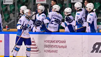 &quot;Снежные Барсы&quot;
