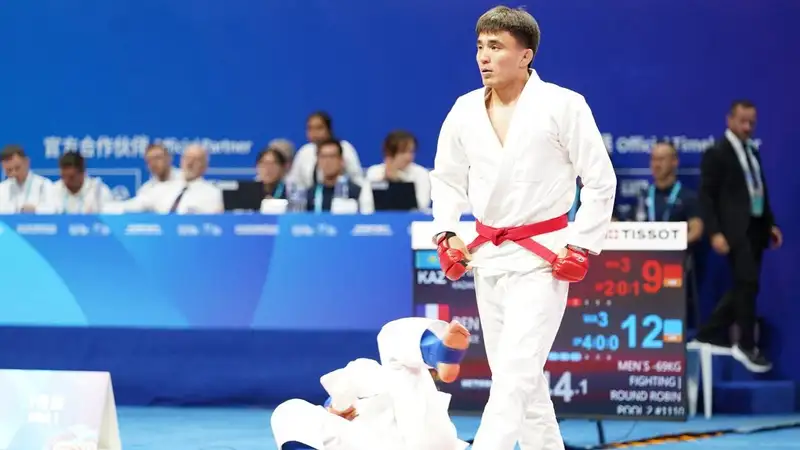 Джиу-джитсу 