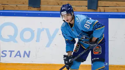 Фото: Hcbarys.kz