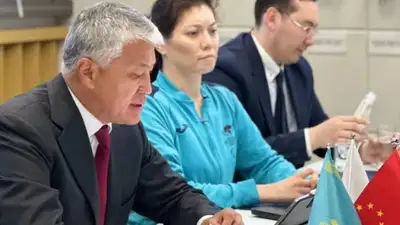 У Боранбаева хотели украсть недвижимость 