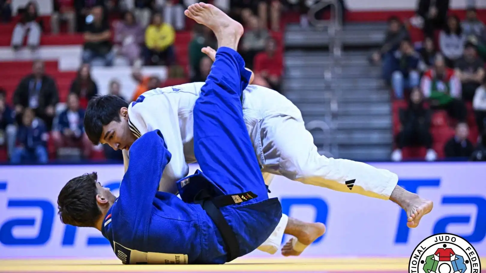Чемпионат мира по дзюдо среди кадетов Чемпионат мира по дзюдо среди кадетов