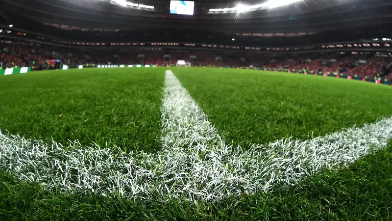 Синтетика вызывает рак