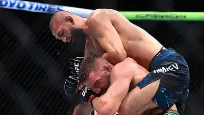 Фото: UFC