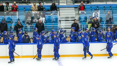 &quot;Барыс&quot;
