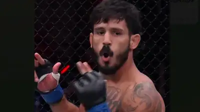 Нокаут в UFC