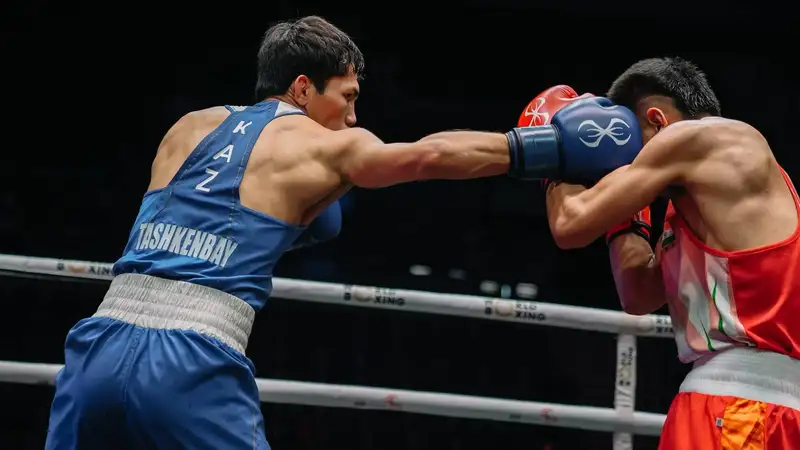 Критика Ташкенбая