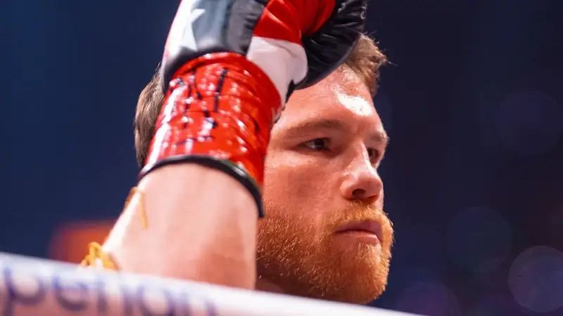 Альварес признал поражение 