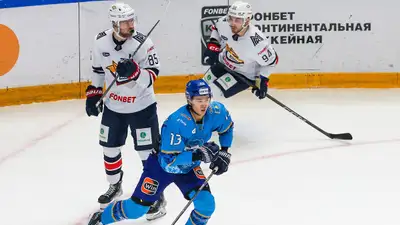 &quot;Барыс&quot; 