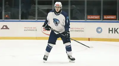 &quot;Снежные Барсы&quot; 