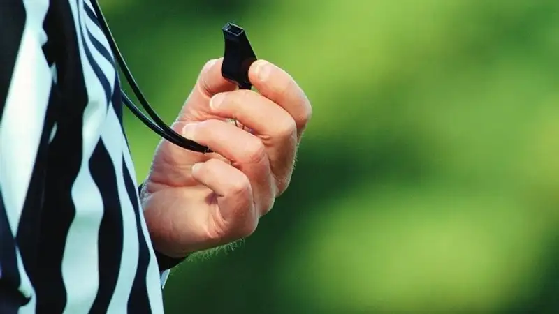 Критика судьи