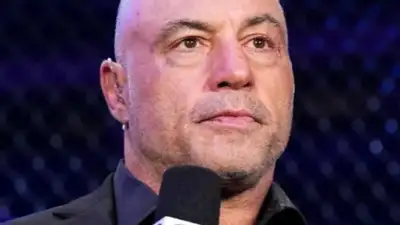 Комментатор UFC предложил увеличить количество дивизионов в лиге