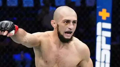 Фото: UFC