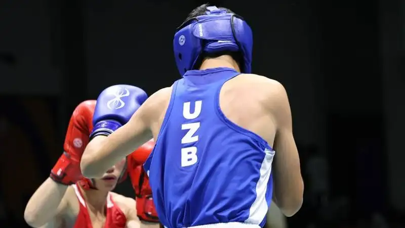 Четвертьфинал турнира по боксу