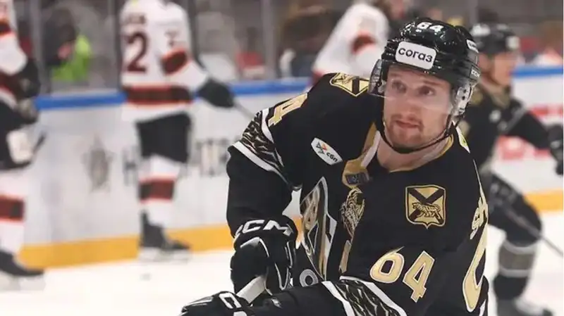 Аркадий Шестаков