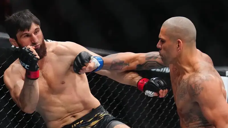 Чемпион UFC разобрал победу Перейры в реванше c Анкалаевым