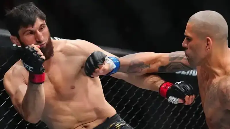 Магомед Анкалаев 