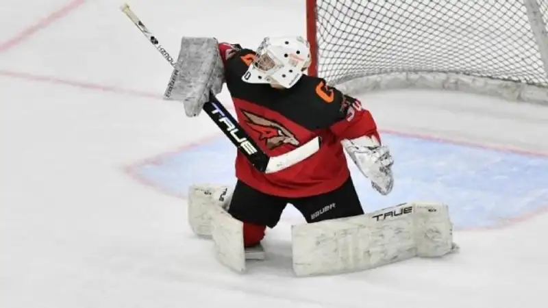 Данай Шайиков