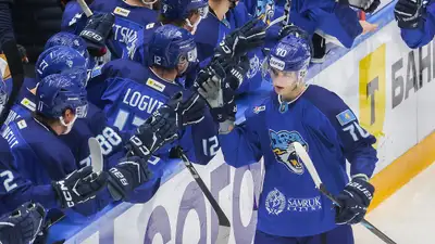 КХЛ высоко оценила гол 20-летнего нападающего &quot;Барыса&quot;