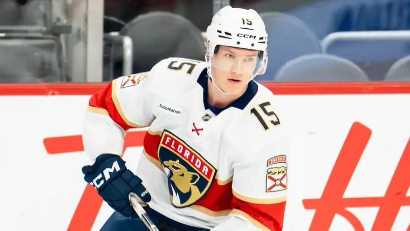 Флорида Пантерз