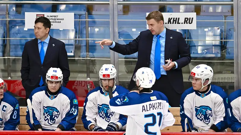 Снежные Барсы