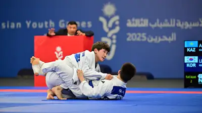 Джиу-джитсу Азиада