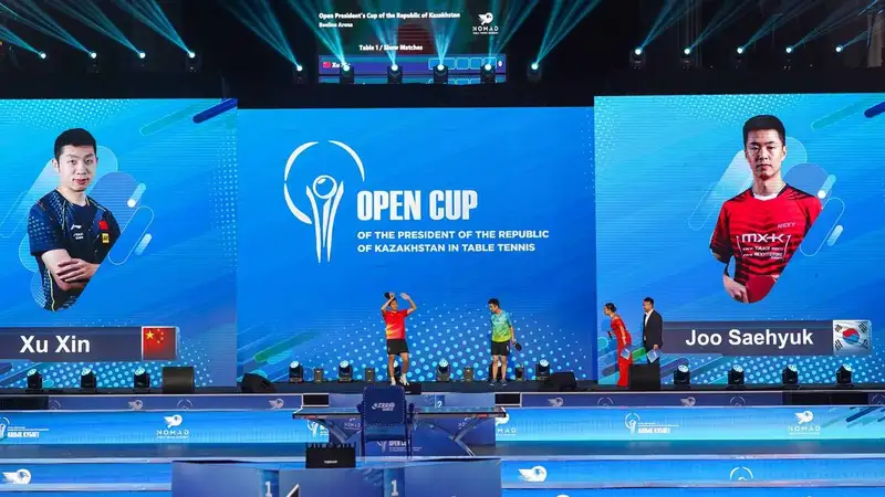 Настольный теннис Астана