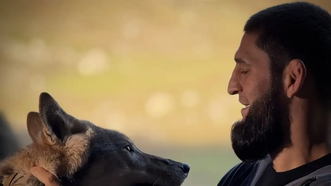 Хамзат Чимаев Хамзат Чимаев