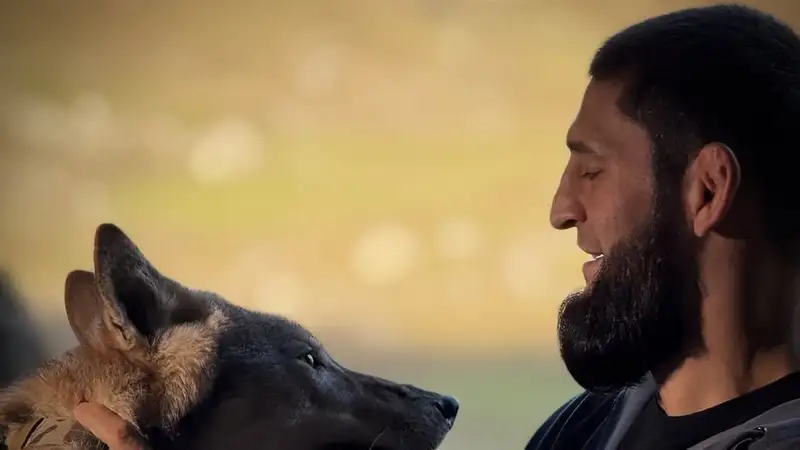 Хамзат Чимаев