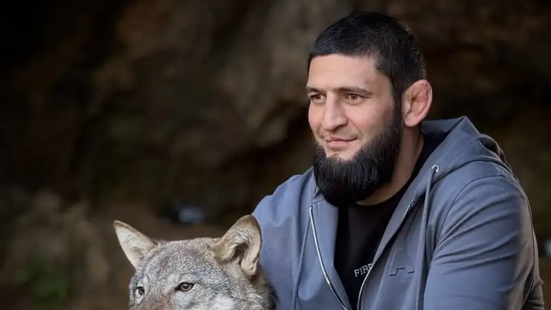 Хамзат Чимаев