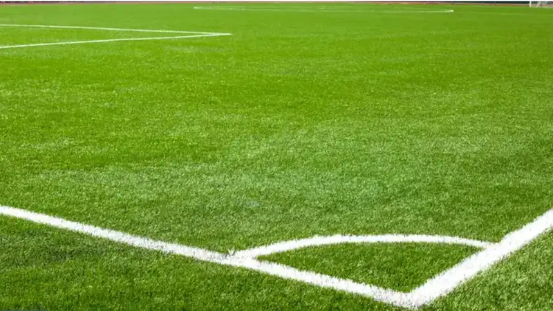 Кража на поле