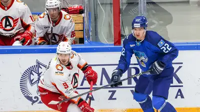 Фото: ХК &quot;Барыс&quot;