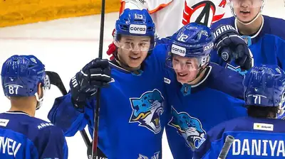 &quot;Барыс&quot;