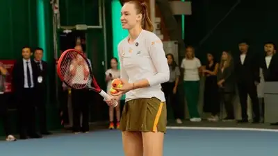 Рыбакина уехала в Германию 