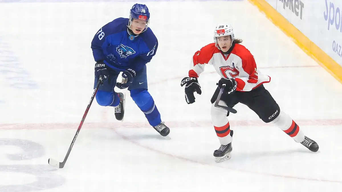 Снежные Барсы